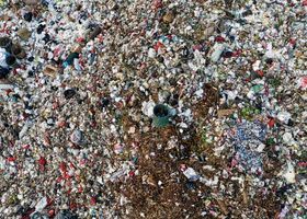 The Landfill Next Door